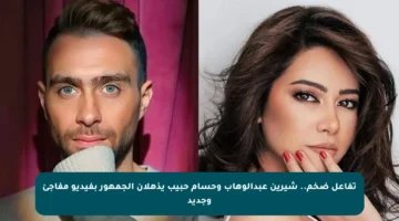 تفاعل ضخم.. شيرين عبدالوهاب وحسام حبيب يذهلان الجمهور بفيديو مفاجئ وجديد
